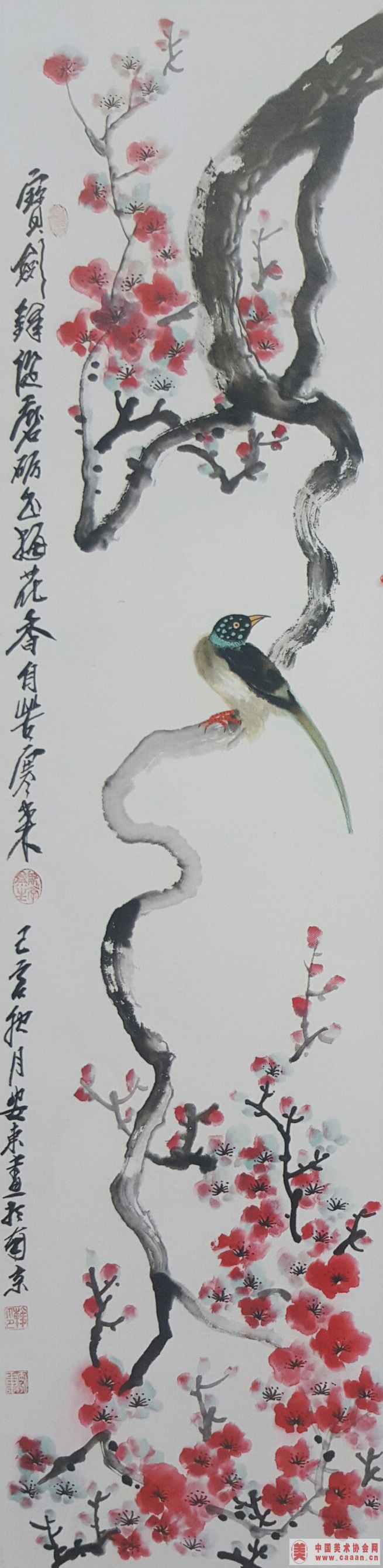 ����������֮һ